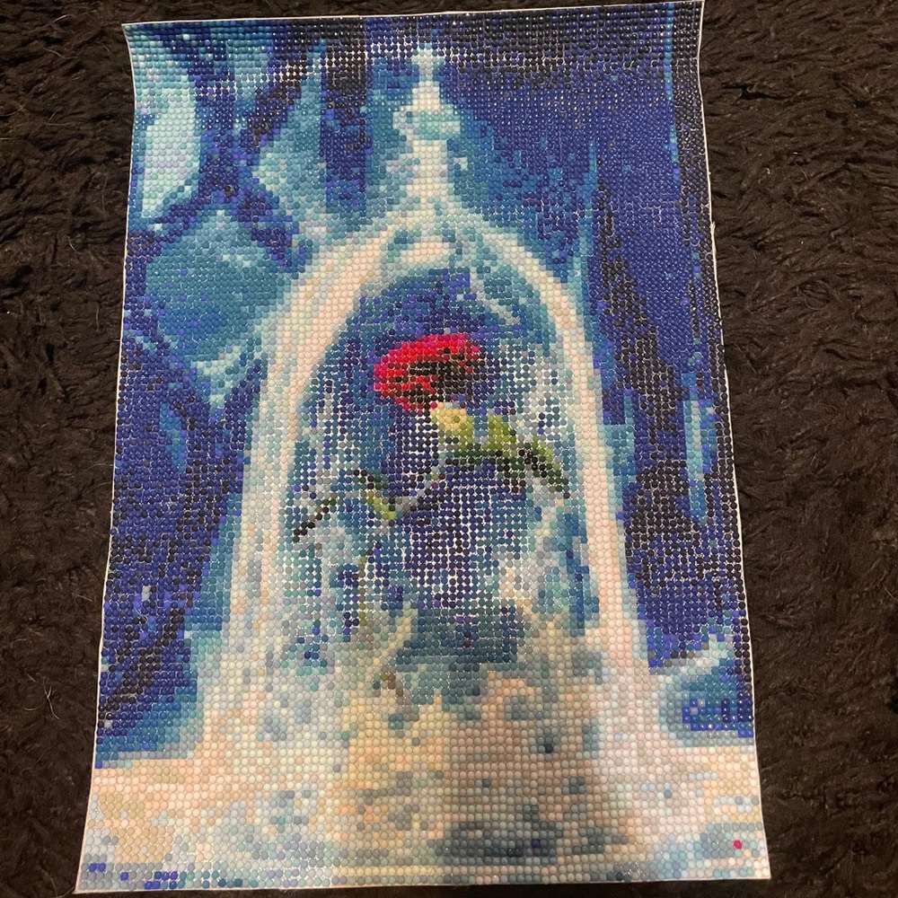 Rose picture